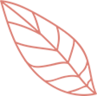 leaf leaf